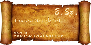 Brecska Szilárd névjegykártya